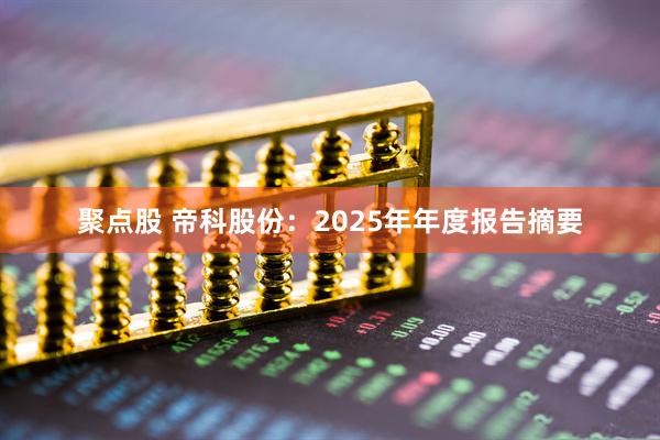 聚点股 帝科股份：2025年年度报告摘要